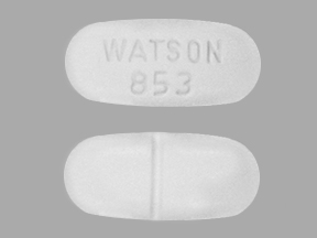 Hydrocodone 10/500mg *W853*